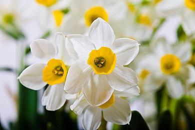 官方确认《枪墓GORE》秋季推出 新预告片分享